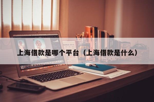 上海借款是哪个平台（上海借款是什么）